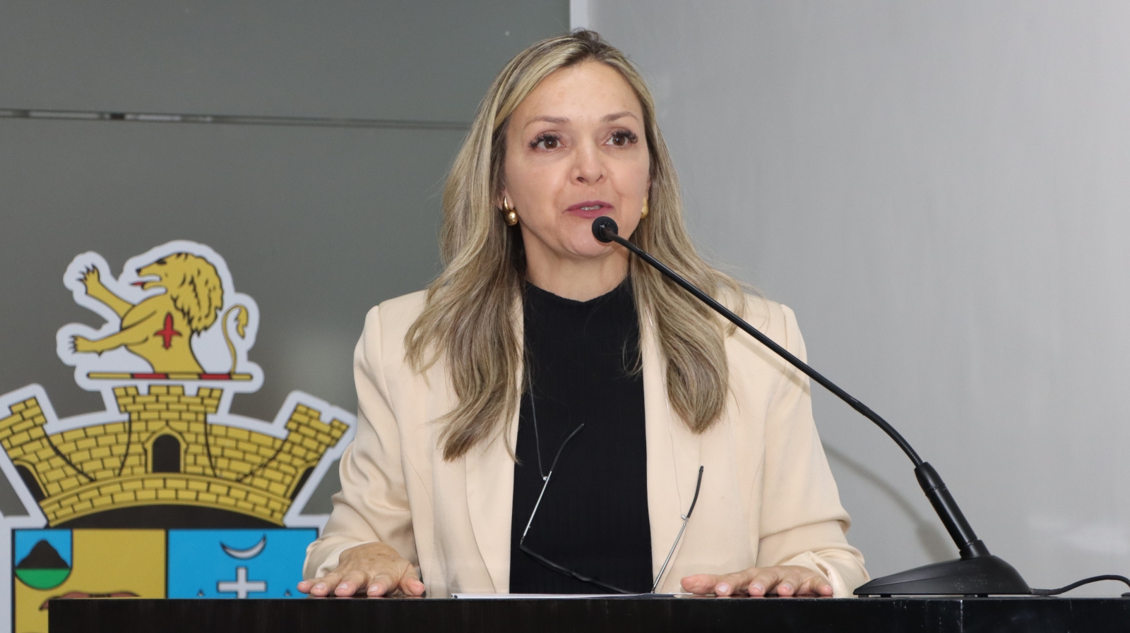 MICHELI VAZ APRESENTA REQUERIMENTO PARA MELHORIAS NA ESTRADA DE ACESSO AO BAIRRO JURUMIRIM