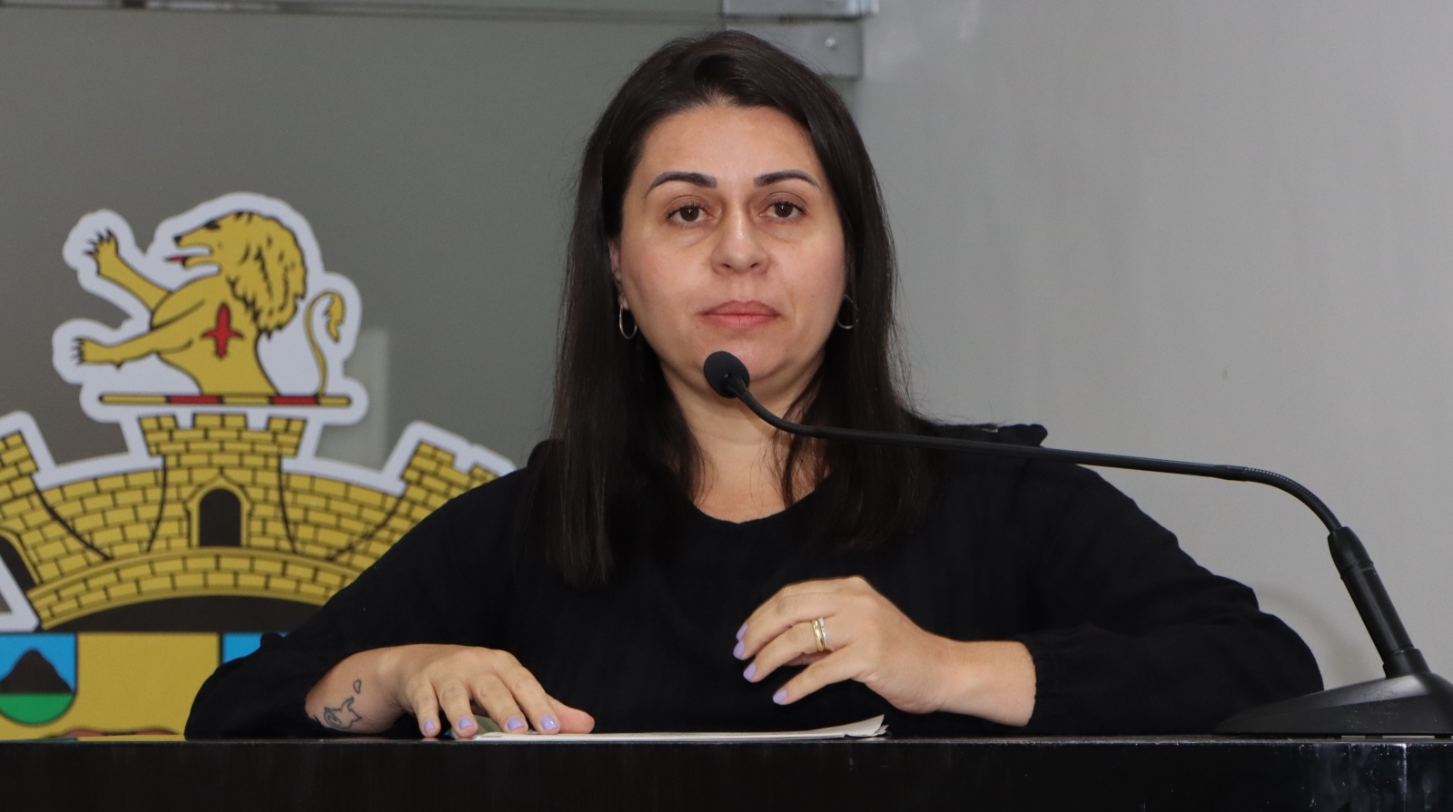 GABRIELA XAVIER FAZ MOÇÃO DE REPÚDIO A TUTOR QUE MUTILOU UM CAVALO