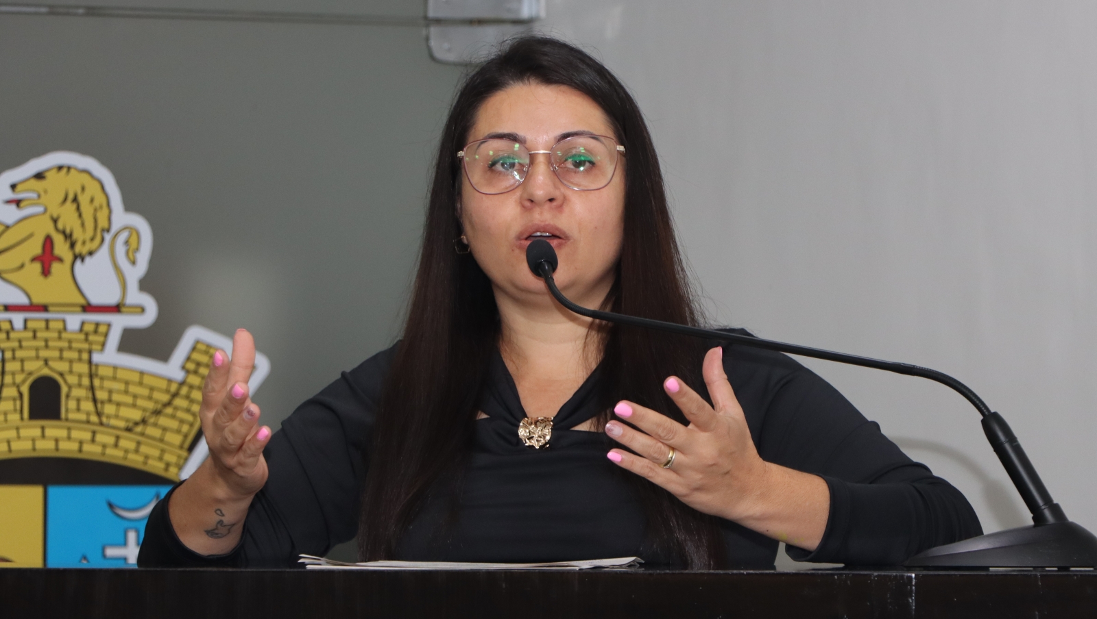 GABRIELA XAVIER SOLICITA CASTRAÇÃO SEMANAL DE FÊMEAS NA UBS ANIMAL