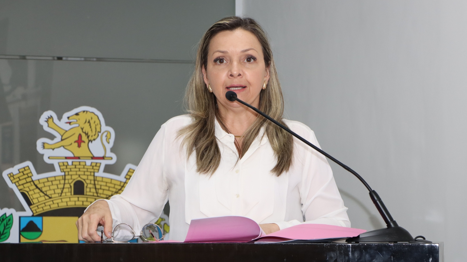 VEREADORES APROVAM PROJETO DE LEI QUE PRIORIZA ATENDIMENTO A MÃES E TUTORES ATÍPICOS NOS SERVIÇOS PÚBLICOS DE SAÚDE DE TATUÍ